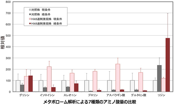 ※画像はイメージです