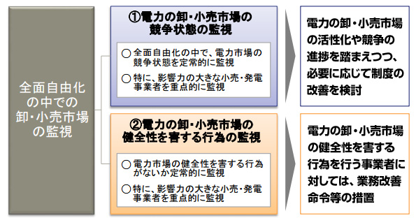 系統運用者による電源調達市場を始めとするネットワーク市場の監視については、別途検討する予定だ