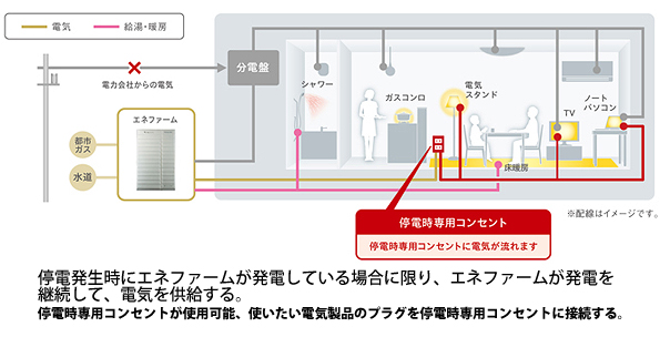 ※画像はイメージです