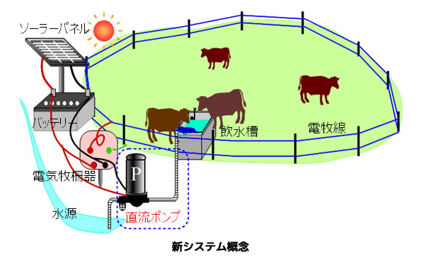 ※画像はイメージです