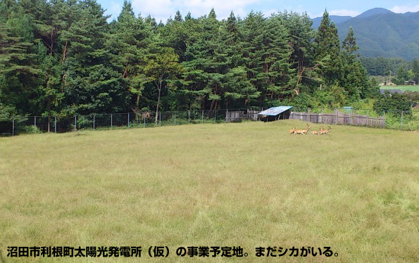 ※画像はイメージです