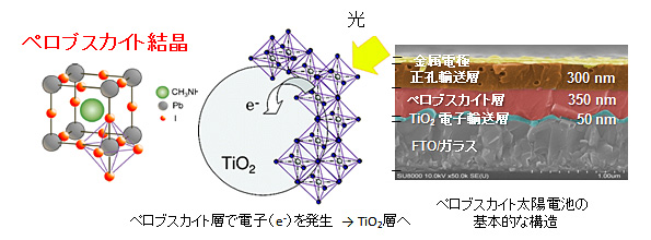 図3 開発するペロブスカイト太陽電池の構造の一例