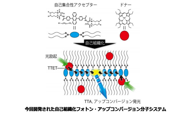 ※画像はイメージです