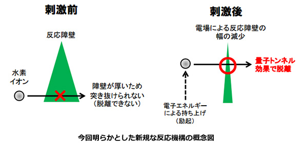 ※画像はイメージです