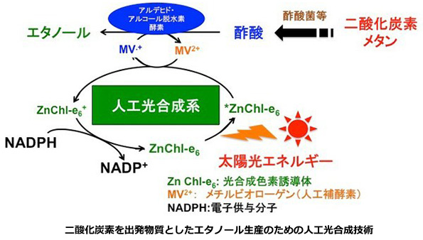 ※画像はイメージです