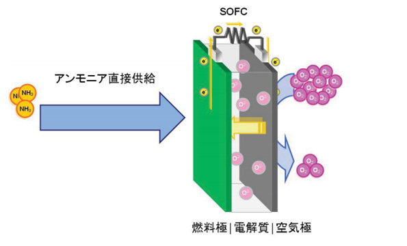 直接アンモニアSOFCの原理図