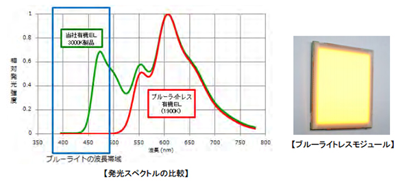 ※画像はイメージです