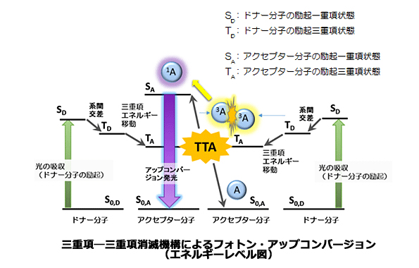 ※画像はイメージです