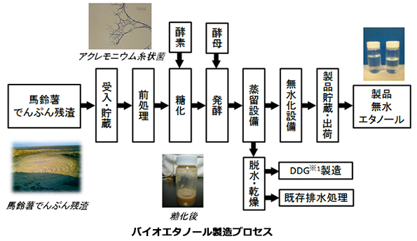 ※画像はイメージです