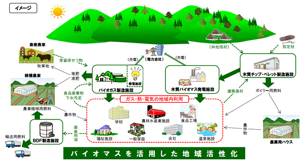 「バイオマス産業都市」、新たに12か所が選定 参考になる先進事例続々