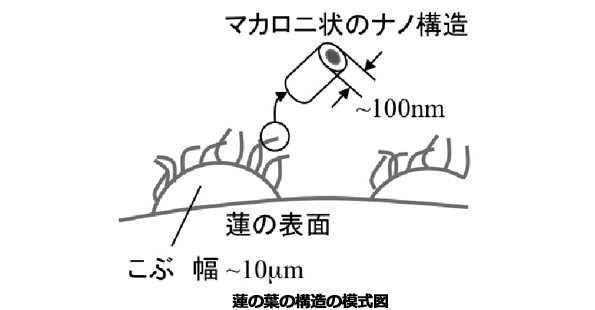 ※画像はイメージです