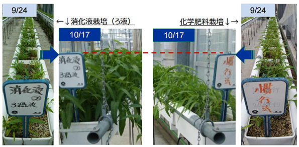 定点観察の様子