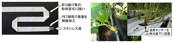 クラウン部局所加温用「テープヒータ」