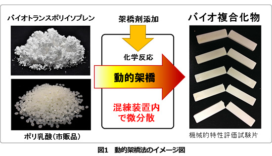 ※画像はイメージです