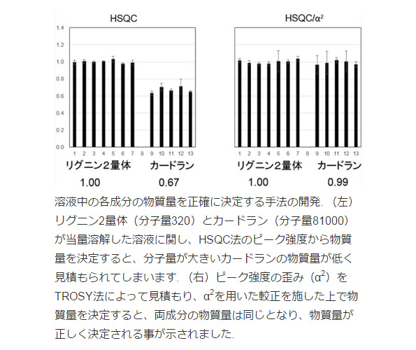 ※画像はイメージです