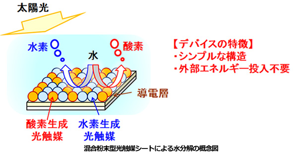 ※画像はイメージです