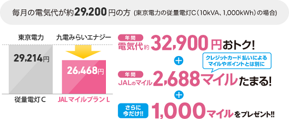 JALマイルプランL