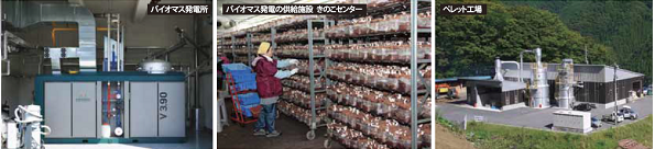 (左)バイオマス発電所 (中央)バイオマス発電の供給施設 きのこセンター (右)ペレット工場
