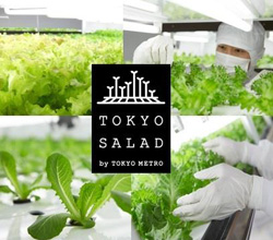 「とうきょうサラダ」ブランド
