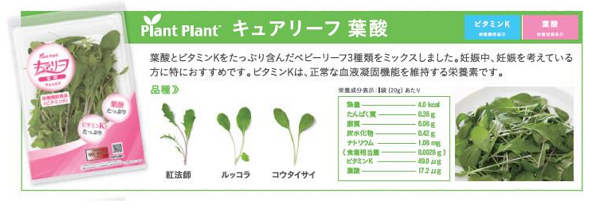 ※画像はイメージです