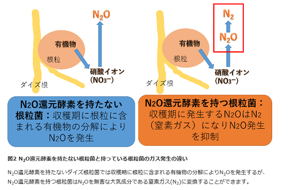 ※画像はイメージです