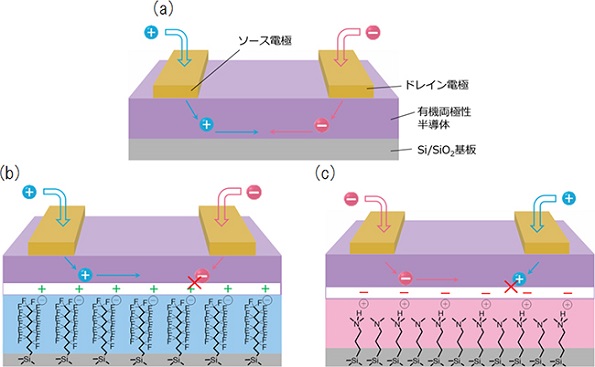 ※画像はイメージです