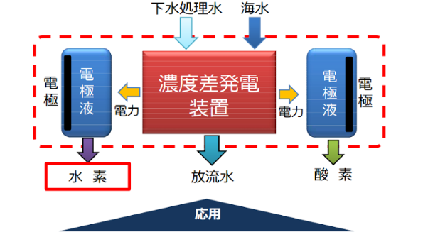 海水 塩分 濃度