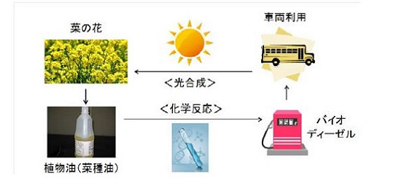 バイオディーゼル利用に関する炭素循環