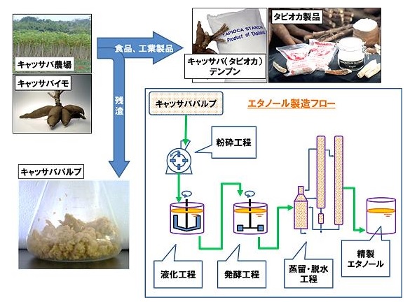 ※画像はイメージです