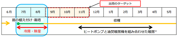 ヒートポンプの活用による1年を通じた栽培スケジュール