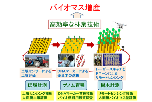 ※画像はイメージです