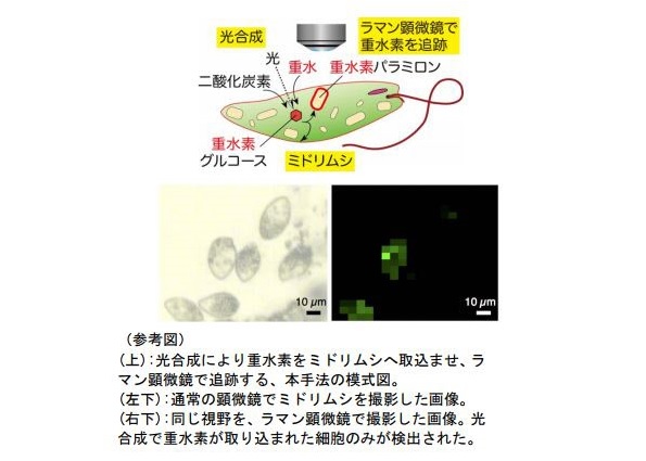※画像はイメージです