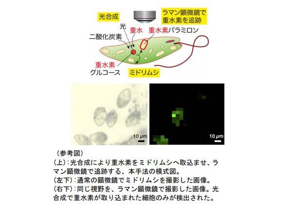 ※画像はイメージです