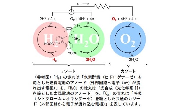 ※画像はイメージです