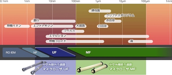 ※画像はイメージです