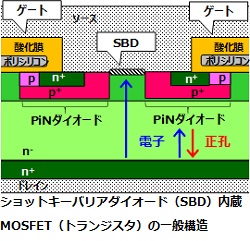 ※画像はイメージです