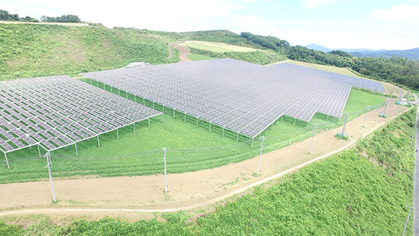 岩手県一関市に開設した営農型大規模太陽光発電所。パネルの下では、2019年春から麦が栽培される