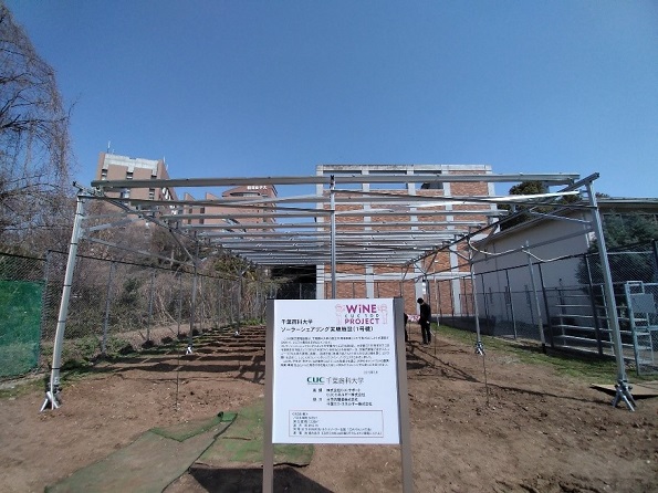 千葉商科大学ソーラーシェアリング実験施設（1号機）