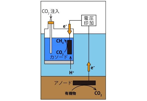 図　底質浄化型CO2変換セル（出所：西松建設）
