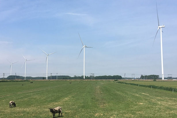 Windpark Deil（出所：ユーラースエナジーHD）