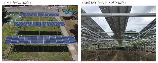 ウエストHDが開発する小規模太陽光発電設備
（出所：大阪ガス）