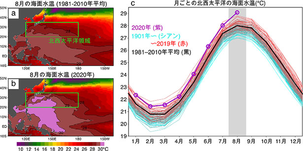 観測された8月の海面水温の水平構造および北西太平洋の海面水温の長期変化（出所：国立環境研究所）
