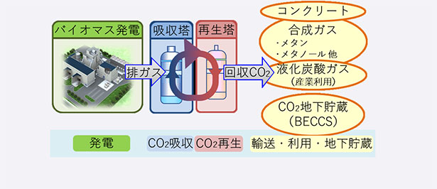 バイオマス発電所からのCO2分離・回収およびCCU・CCSフローのイメージ（出所：日本製紙）