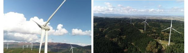 庄内町の計画に基づき整備した県内最大規模の風力発電施設（出所：大商金山牧場）