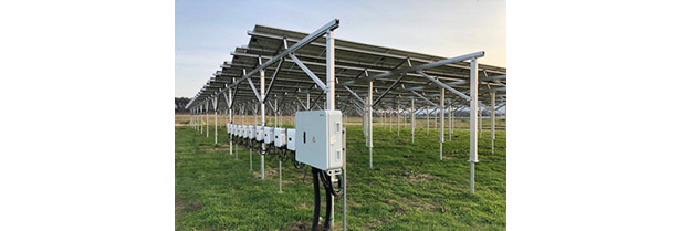 SBI紫波第二ソーラーシェアリング発電所。パネルの下では「畑わさび」を栽培する。設備容量は49.5kW（91.8kW）（出所：SBIエナジー）