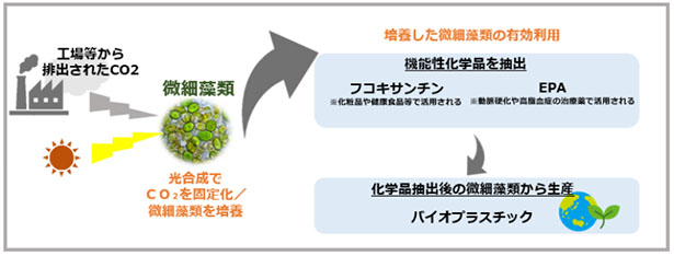 藻類を利用したカーボンリサイクル技術のイメージ図（出所：関西電力）