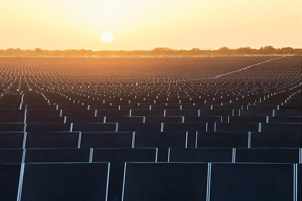 現在、大規模太陽光発電事業「IP Radian Solarプロジェクト」を推進中（出所：Apple）
