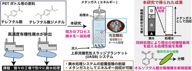 嫌気性生物学的廃水処理法によるペットボトル原料製造過程由来の2種の廃水の一括処理の背景と研究成果
（出所：産業技術総合研究所）