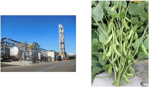 （左）佐賀市の清掃工場にあるCCU、（右）収穫された大豆（イメージ