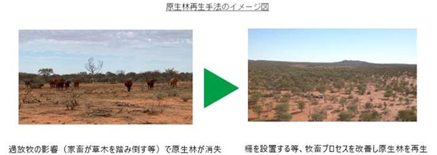 原生林再生手法のイメージ（出所：大阪ガス）